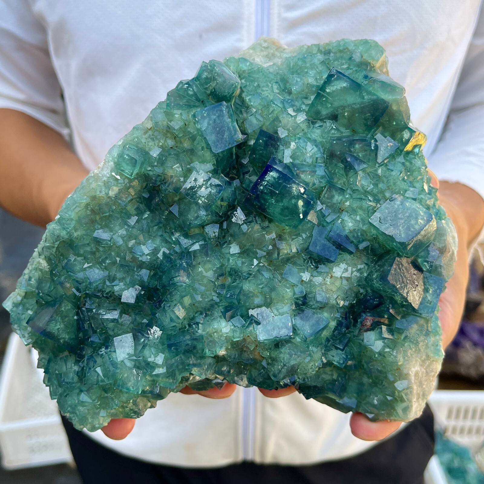 3.7lb Natural Green Fluorite Crystal Quartz Cluster Specimen for Healing