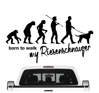 Riesenschnauzer Schnauzer Evolution Auto Aufkleber Hund Folie Dog Sticker