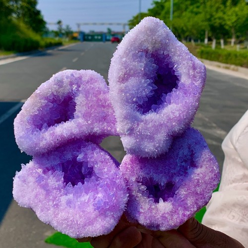 3.7LB New Find pink-purple chrysanthemum Quartz Crystal Cluster Mineral Specimen - 第 1/22 張圖片