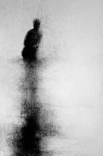 Cute Tiny Shark Hair Clips