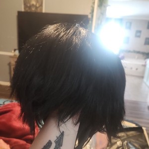 Women’s Adult Black Straight Bob Style Wig Hairpiece