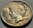 1924 Peace Silver Dollar — Uncirculated Toned Natural 🔥