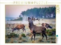 Calvendo Puzzle Wenn Der Hirsch Den Pfad Kreuzt, Wird Der Wald Lebendig. | 2000