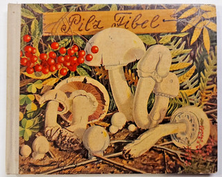 (131) Band 9 PILZ FIBEL Verlag Bruckmann München 32 Farbbilder um 1950