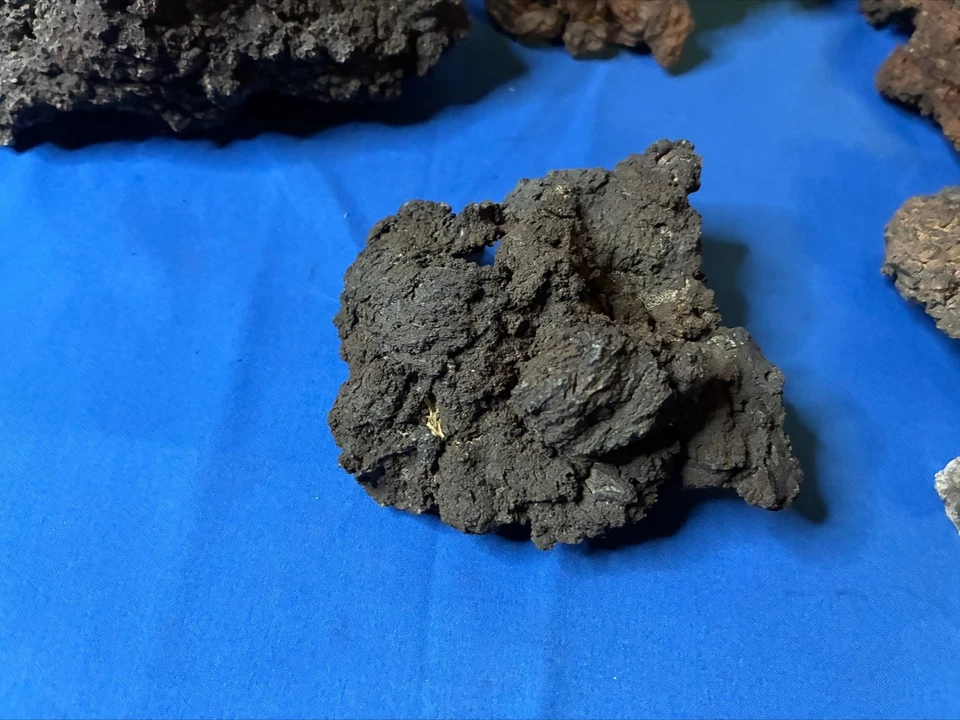 Terrario de piedra de lava para acuario 5 piezas 6 libras Foto 4 de 4