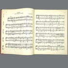 Foto 9 di 12