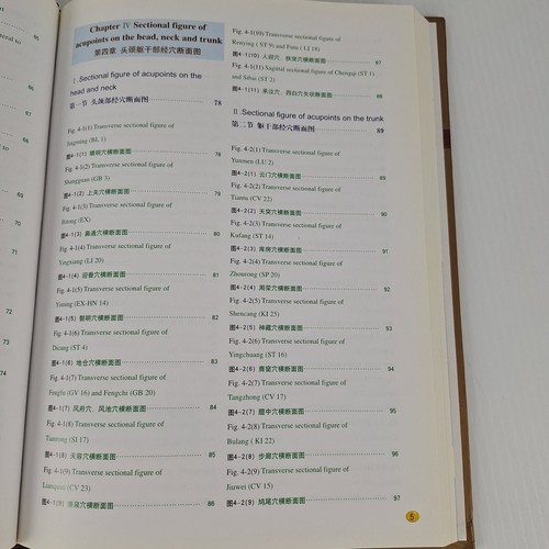 English-Chinese Applied Anatomical Atlas of Acupoints By Yan Zhenguo 2003 HC - Picture 14 of 19
