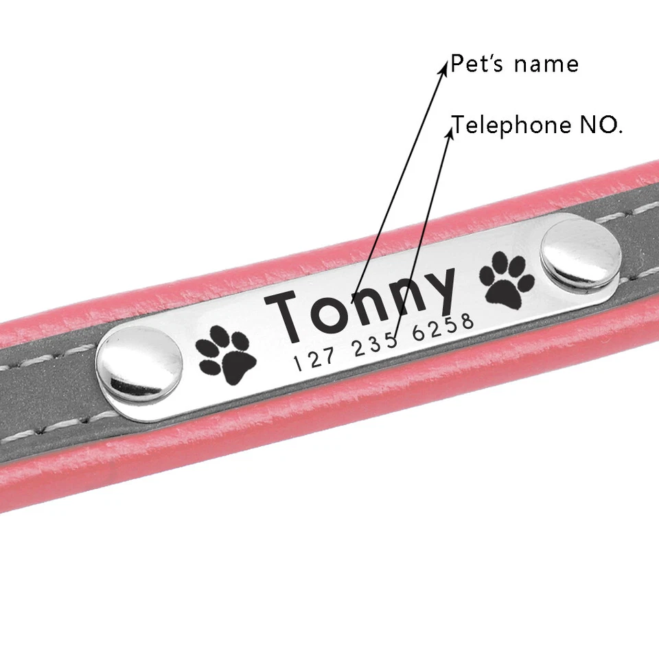 Personalisierte Hundehalsband Mit Name Gravur Reflektierendes für Chihuahua Rosa - Bild 3 von 4