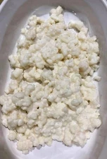 KEFIR GRAINS FROM ORGANIC California PASTEURIZED MILK 10  Grams ( 2 Tsp.)