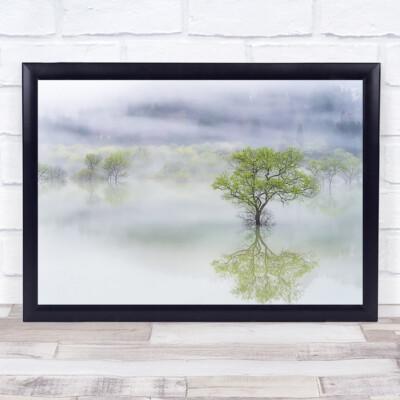 Dreamy Tree Dream Dreaming Green Trees Reflexion See Wandbild Kunstdruck