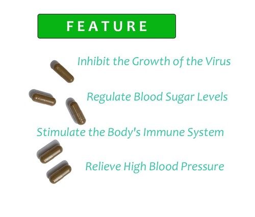 148 Vetgetable Capsule 500 mg. Houttuynia cordata Thunb Capsules Plu Kaow 100% - Picture 6 of 7