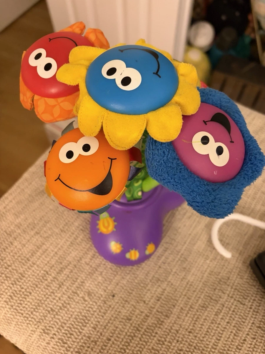 Bizak Lamaze Gioco Educativo - Farfalla Brook Con Suoni E Texture - Giocattolo Per Neonati 0+ Mesi - Multicolore - 4