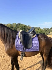 2006 DK Freedom Dressage Saddle 17" FLAIR Panel