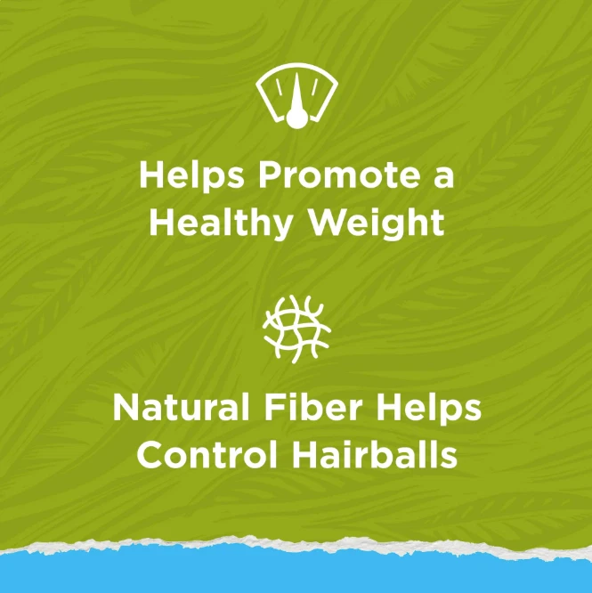 (Paquete de 2) Purina Cat Chow Naturals, comida seca para gatos de interior, pollo y pavo, 18 lb Foto 2 de 4