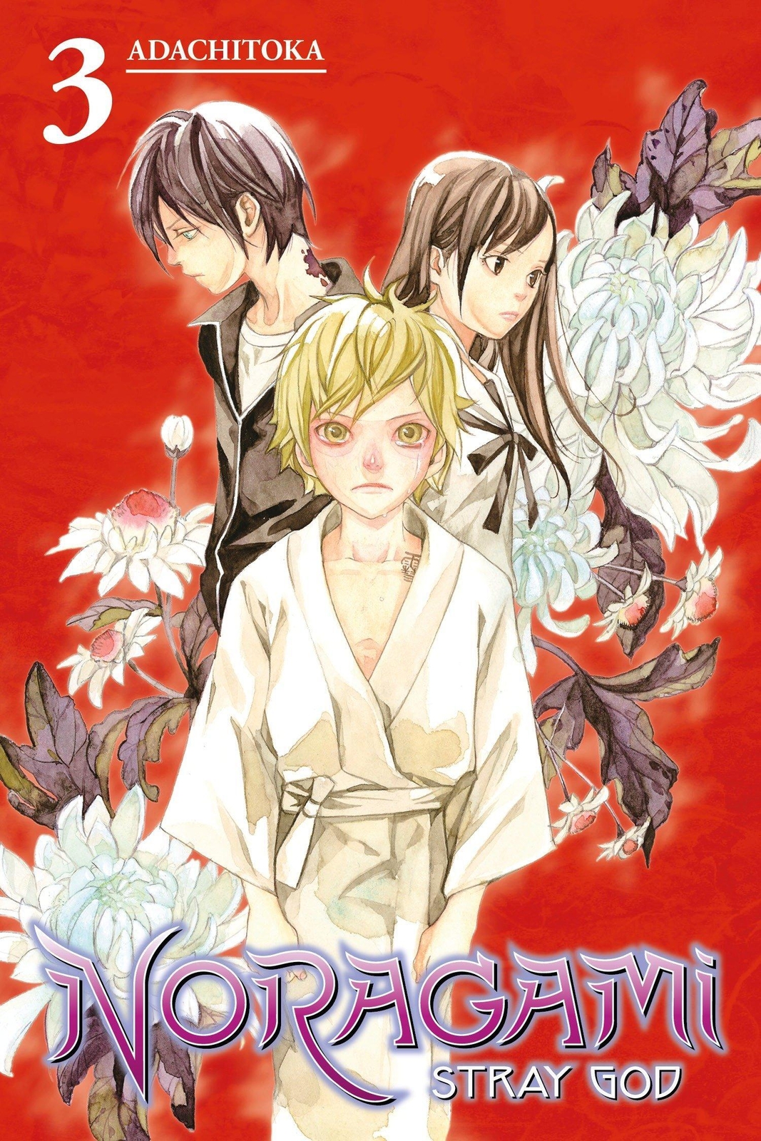 Thumbnail - Adachitoka | Noragami: Stray God 3 | Taschenbuch | Englisch (2015)