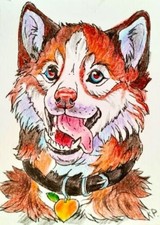 ACEO dog pencil watercolor  by the author original 3,5"х2,5" 9x6cm not print