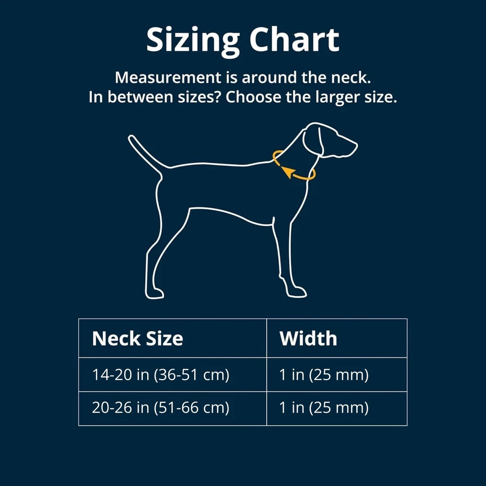 Confluence Dog Collar, Waterproof and Stink Resistant, Red Sumac, 14-20 - Image 2 of 4