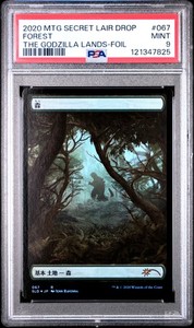 Godzilla Secret Lair | eBay