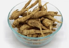 2024 ginseng- 100% Pure Wisconsin American Ginseng Dry Root - 4 oz