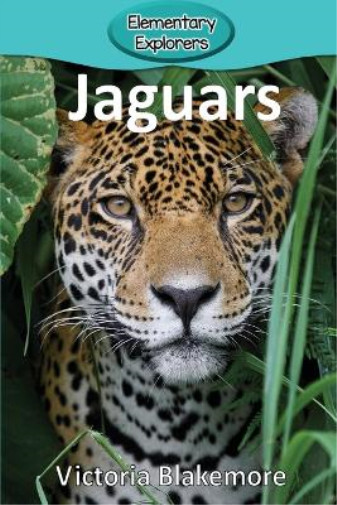 Victoria Blakemore Jaguars (taschenbuch) Elementary Explorers