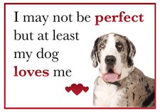 Funny My Dog Loves Me Great Dane Vinyl Car Van Sticker Pet Animal Lover