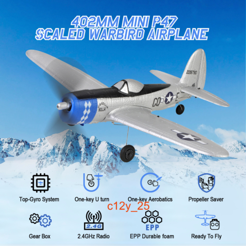 2.4G P47 Warbird RC Fighter Plane Military World War Model Remote Control RTF - Picture 1 of 18