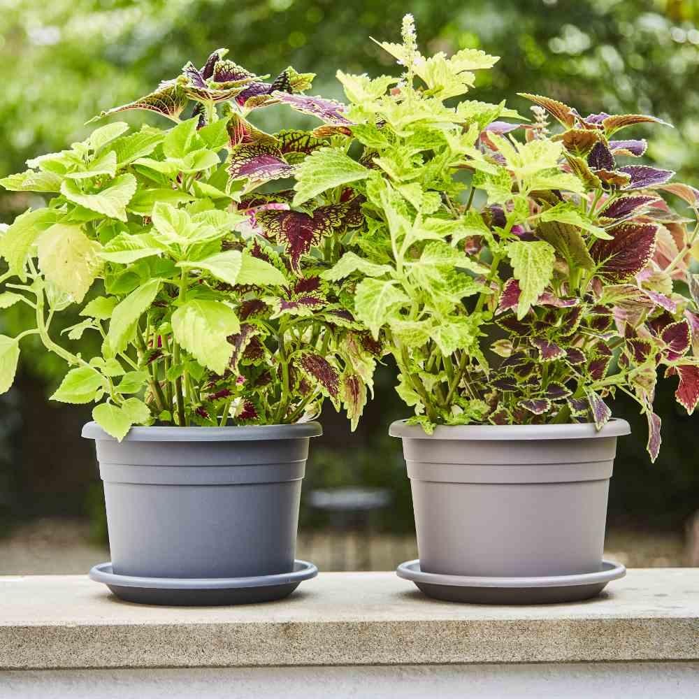 НАСАДКА ДЛЯ САДА СИЕНА 29 см темно-серая с цилиндрическим верхом 30 см 1890₽