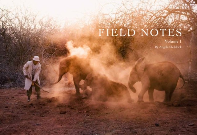 Field Notes : Volume 1 Angela Sheldrick - Image 3