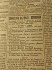 Foto 11 di 24