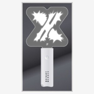 Xdinary Heroes Lightstick | eBay