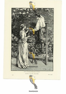 Den Rosenbaum aufnageln, Dicksee, viktorianische romantische Buchillustration, 1892