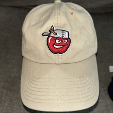 47 Brand Fort Wayne Tincaps Hat Beige One Size MLB Minor League Cap