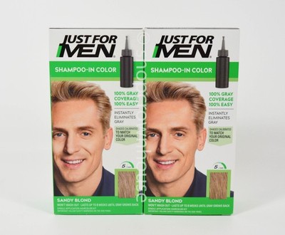2 Just For Men Shampoo-In Hair Color Kit #H-10 SANDY BLOND Blonde