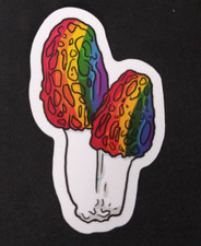 Bright Colorful Retro Psychedelic Mushroom Sticker 2.78" x 1.75" AT