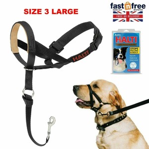 Padded Dog Head Collar 2025