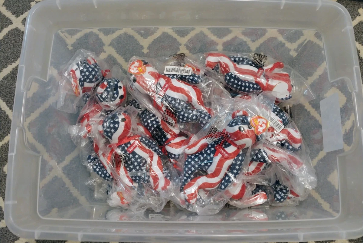 Supreme Ty Beanie Baby Flag FW22 DSIP in Hand