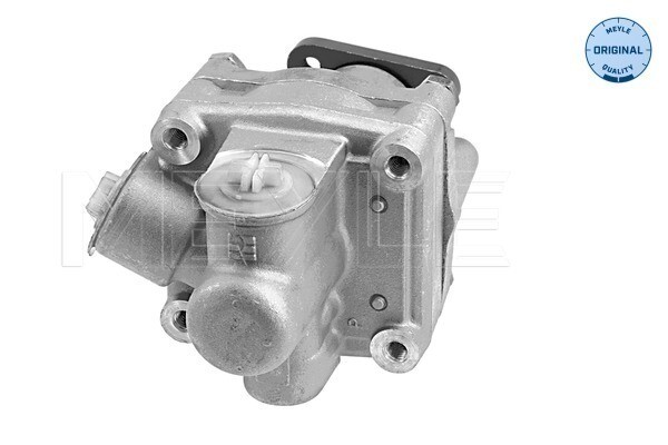 Meyle 114 631 0031 Hydraulikpumpe FüR Lenkungssystem FüR Audi, Vw-image