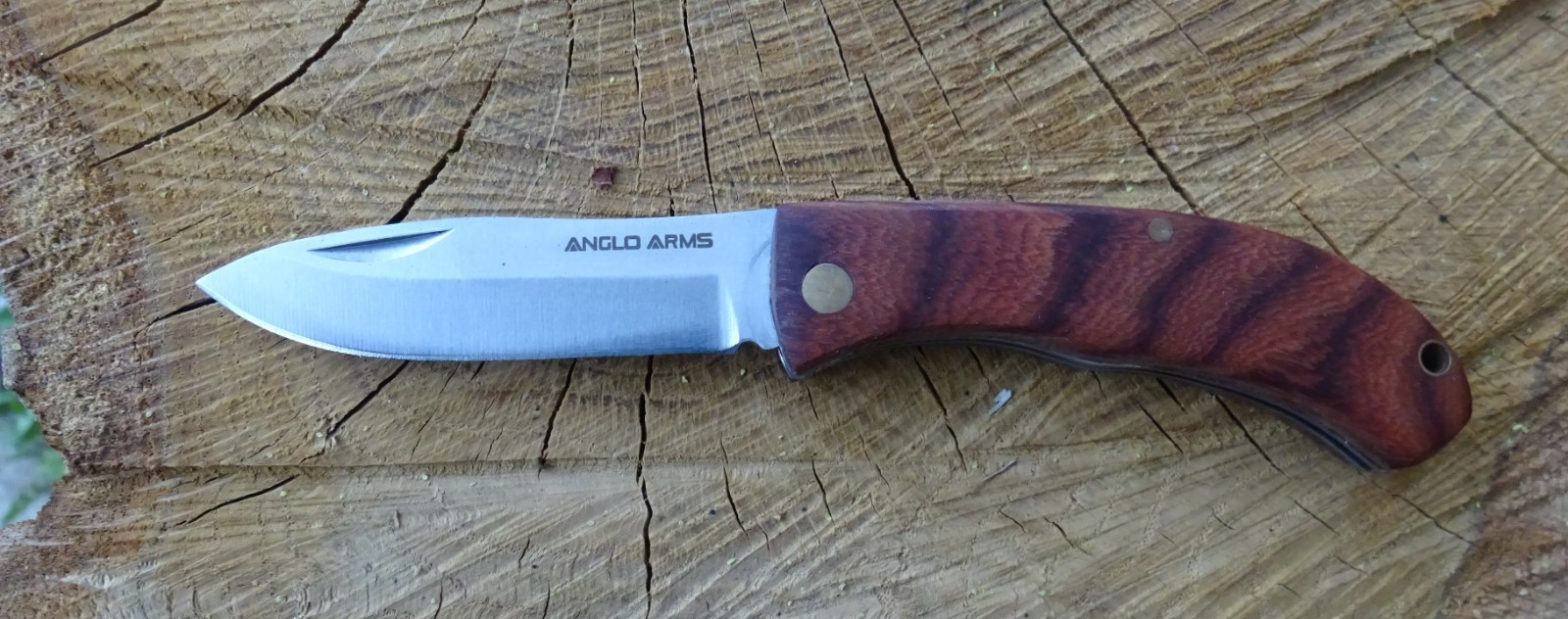 Pilzmesser Klappmesser Campingmesser -Schnitzmesser- Angelmesser -Taschenmesser
