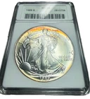 1989 American Silver Eagle Anacs Ms69 SOAPBOX TONER TONED $1