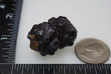 Prophecy Stone - 28g (Limonite & Hematite pseudomorph after Marcasite) #stn27