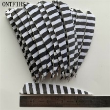 50PCS 5inch Striped White Shield Vanes Fletches Feathers Fletching RW LW