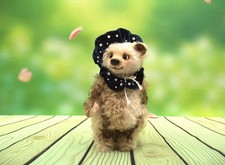 Teddybär Teddy Bär Sammlung  Künstlerteddy...