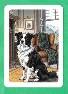 1 WIDE SWAP PLAYING CARD VERY DISTINGUISHED BORDER COLLIE DOG LORD OF THE MANOR