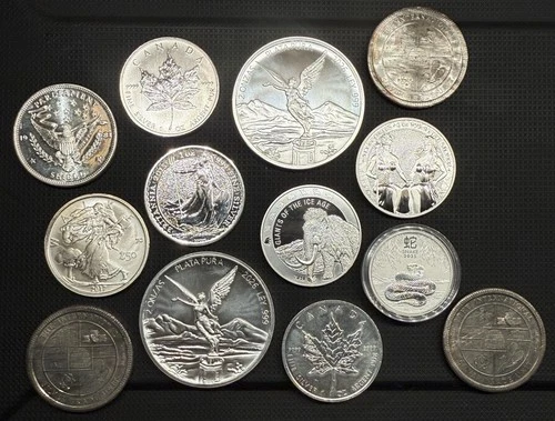 14.5 Ounces 999 9999 Silver, Germania, Britannia, Tribute Libertad, Maple, More