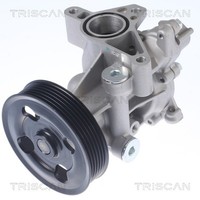 Triscan Wasserpumpe MotorküHlung 8600 69012 FüR Suzuki Kizashi Vitara 2 JT TE TD