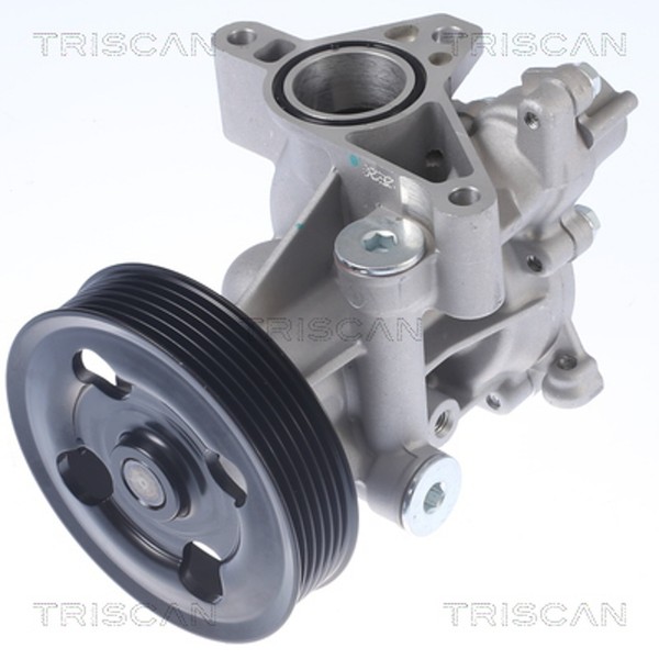Triscan Wasserpumpe MotorküHlung 8600 69012 FüR Suzuki Kizashi Vitara 2 JT TE TD-image