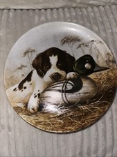 Vintage Dog Tired Springer Spaniel Collector Plate 1987 Porcelain Knowles 