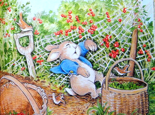 Bild 3 von 12