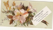 Corticelli Spool Embroidery Silk White Fall Flower Posy Vict Card c1880s