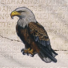 Eagle - Bird - American Eagle - Patriotic - Iron On Applique Patch Decorative